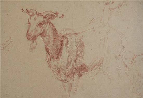 William Shackleton (1872-1933) Figure studies, early drawings, drapery and farm animals, Largest 22 x 15in. unframed.